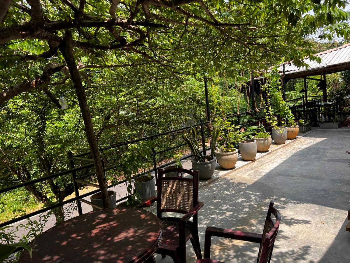 The Traveller'S Hostel & Private Rooms 锡吉里亚 外观 照片