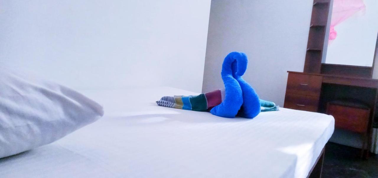 The Traveller'S Hostel & Private Rooms 锡吉里亚 外观 照片
