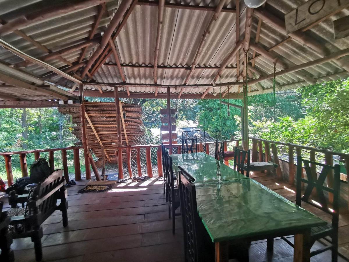 The Traveller'S Hostel & Private Rooms 锡吉里亚 外观 照片